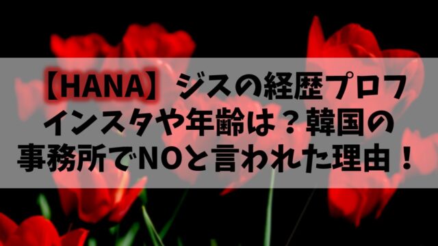 【HANA】元ノノガJISOO(ジス)のインスタや年齢は？韓国事務所でNOと言われた理由！