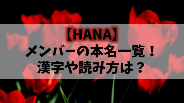 HANA(ノノガ)メンバーの本名一覧！漢字や読み方は？