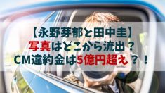 【永野芽郁と田中圭】写真はどこから流出？CM違約金は億超え？！