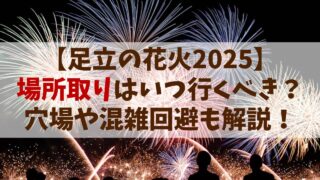 【足立の花火 2025】場所取りはいつ行くべき？穴場や混雑回避方法も解説！